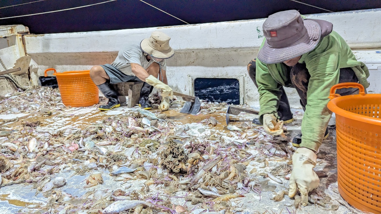 DIGEPESCA y la SAG continúan fortaleciendo las acciones de ordenamiento pesquero en Honduras